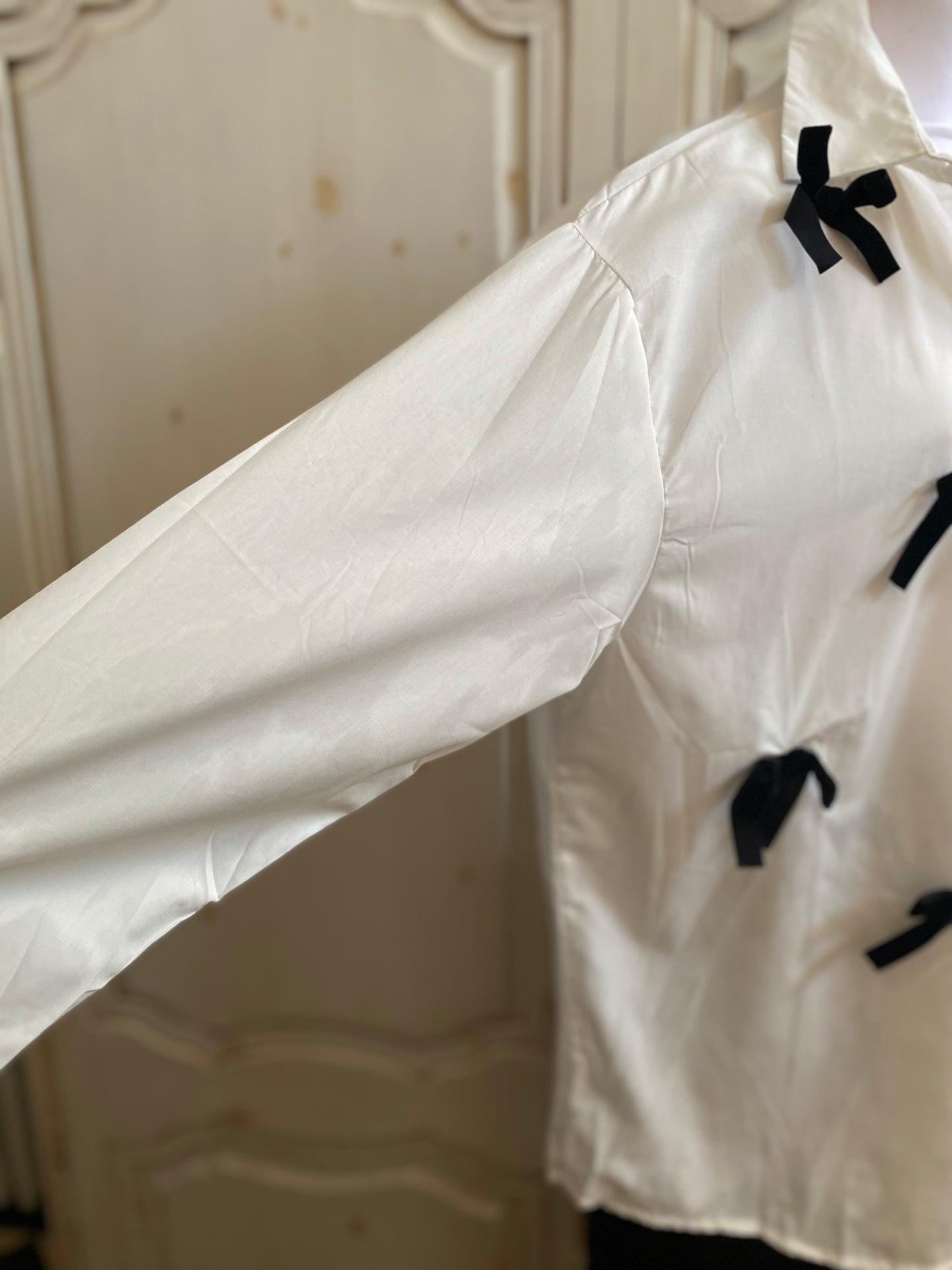 Chemise Diora du 40 au 46